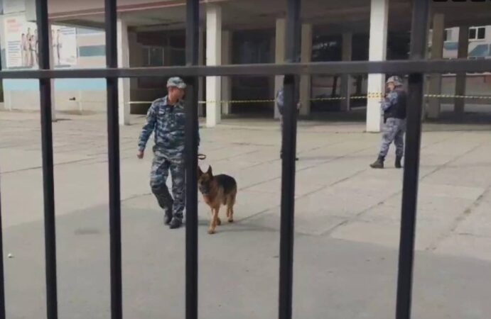 В краснообском лицее №13 под Новосибирском отменили занятия из-за сообщения о бомбе