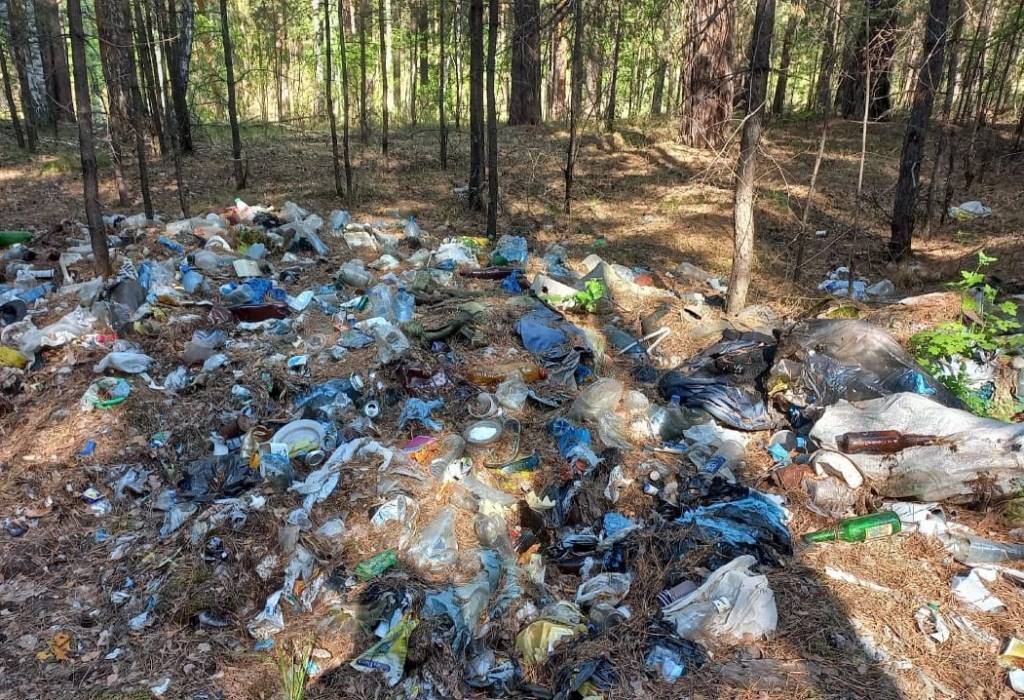 «Теряем жемчужину»: жители Новосибирской области рассказали о незаконной свалке в Караканском бору