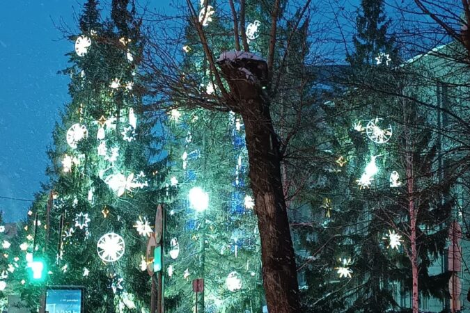 Новосибирцам рассказали