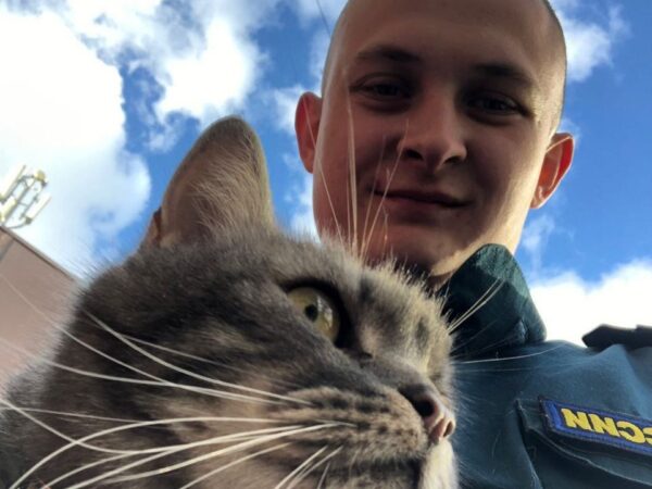 Сотрудник МЧС спас кота