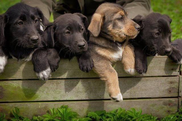 Астрологический прогноз на 20 мая для всех знаков Зодиака