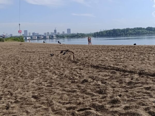 Два человека утонули в Новосибирской области за первую неделю июля