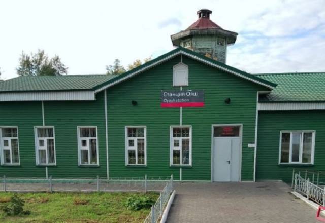 В Новосибирске грузовой поезд сбил женщину