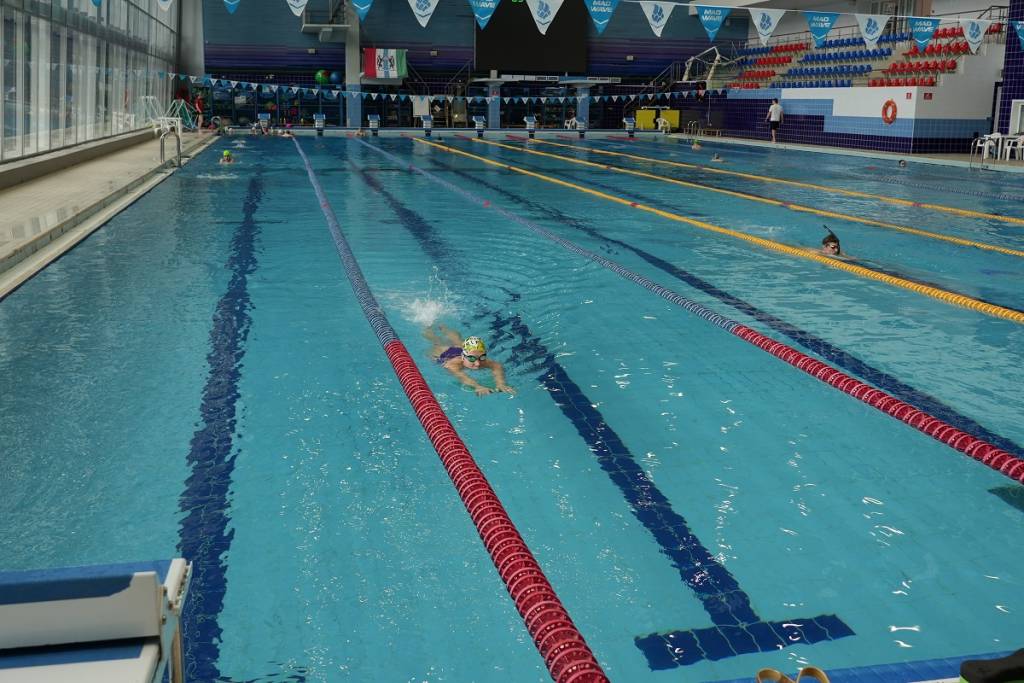 Из-за спортсменки сборная Новосибирской области не вышла на старт Чемпионата по плаванию