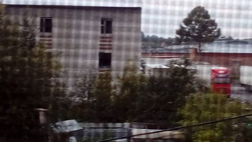 Мигранты разводят скот в казармах на Хилокском жилмассиве