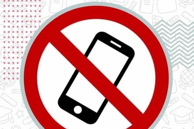 Новосибирских школьников не будут отчислять за смартфоны