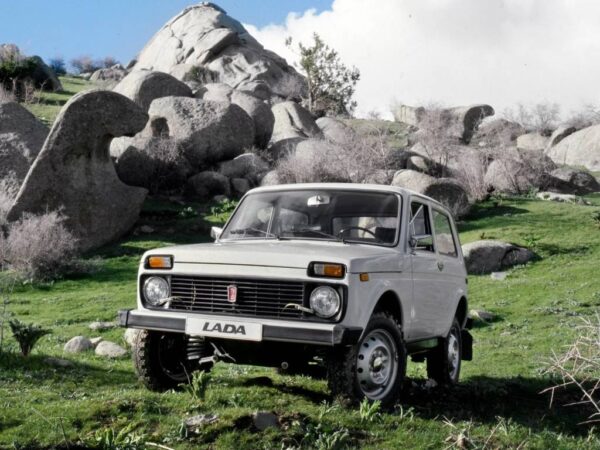 Под Новосибирском у мужчины конфисковали ВАЗ в доход государства за пьяную езду