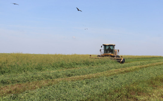 В Новосибирской области обсудили систему господдержки крестьян