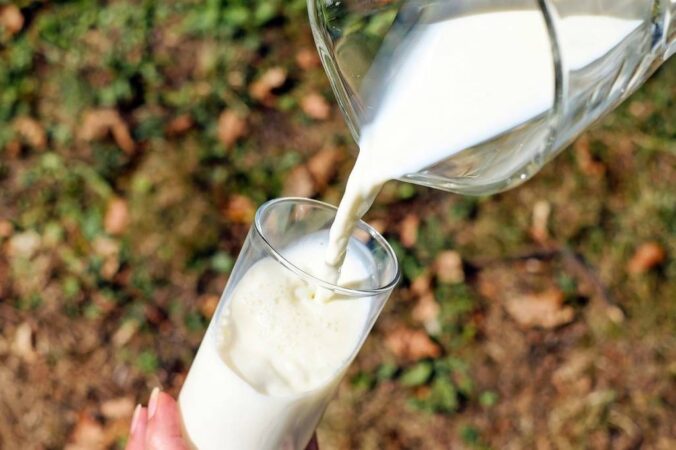 Тонну опасной молочной продукции не допустили на прилавки Новосибирской области в 2023 году