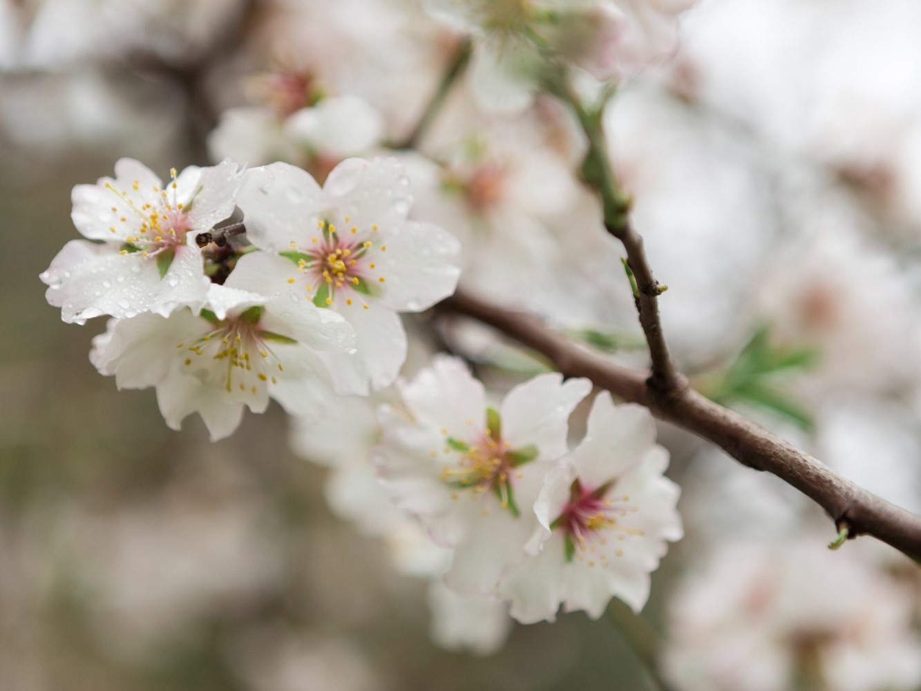 Приметы и запреты по церковному календарю на завтра – 19 апреля