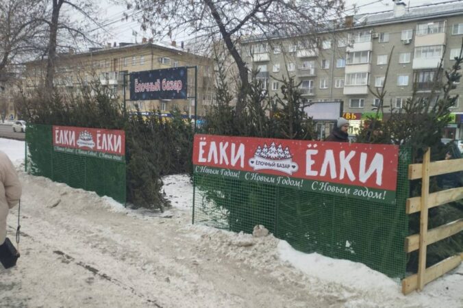 139 елок изъяли у нелегального уличного торговца в Новосибирске