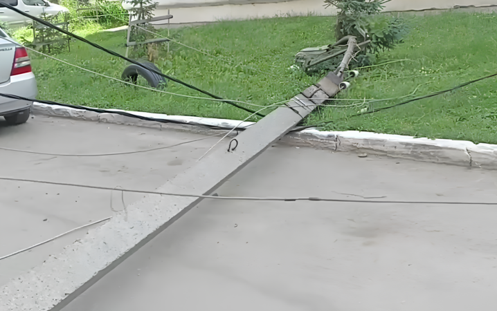 В Бердске рухнувший клен завалил два столба уличного освещения