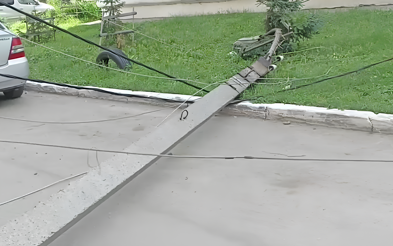 В Бердске рухнувший клен завалил два столба уличного освещения