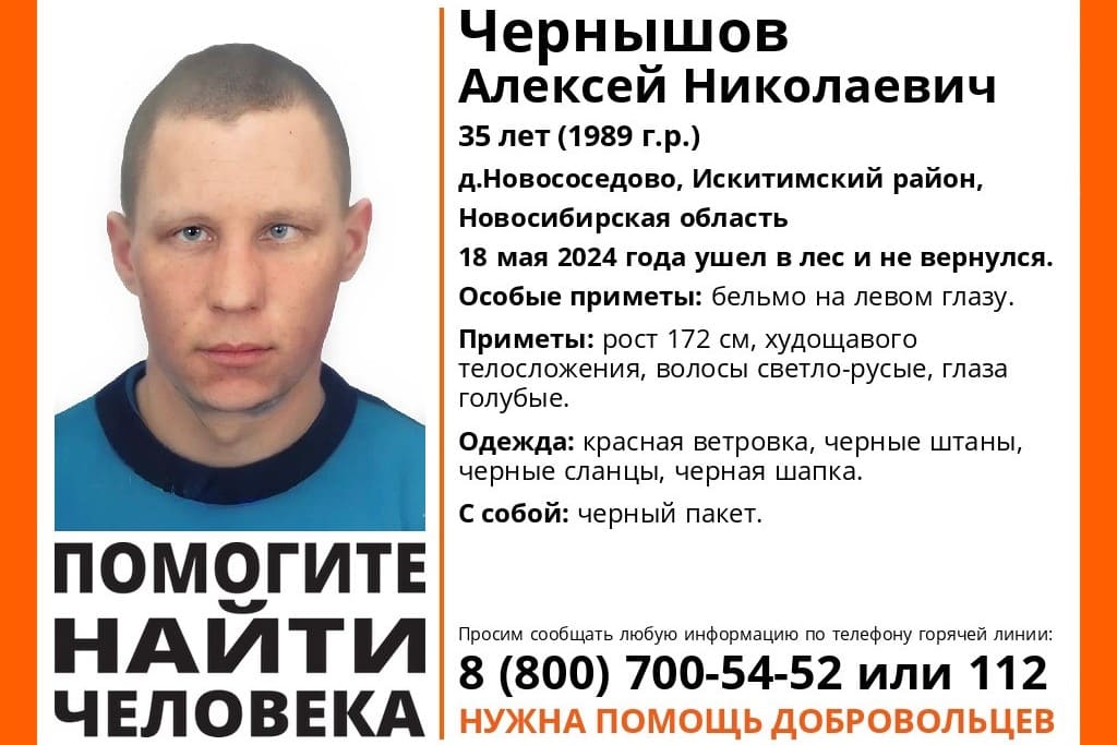 Мужчина с бельмом на глазу пропал в лесу в Новосибирской области