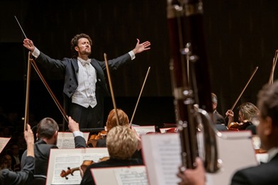 В Новосибирске на два года отложили ремонт органа филармонии