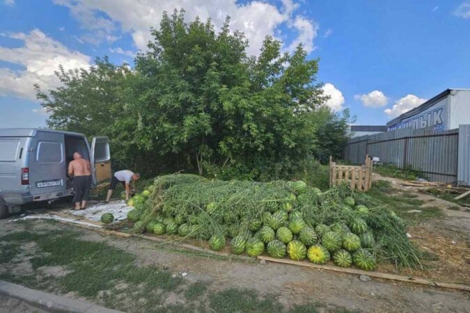 В Новосибирске у нелегальных торговцев изъяли 20 тонн арбузов и дынь