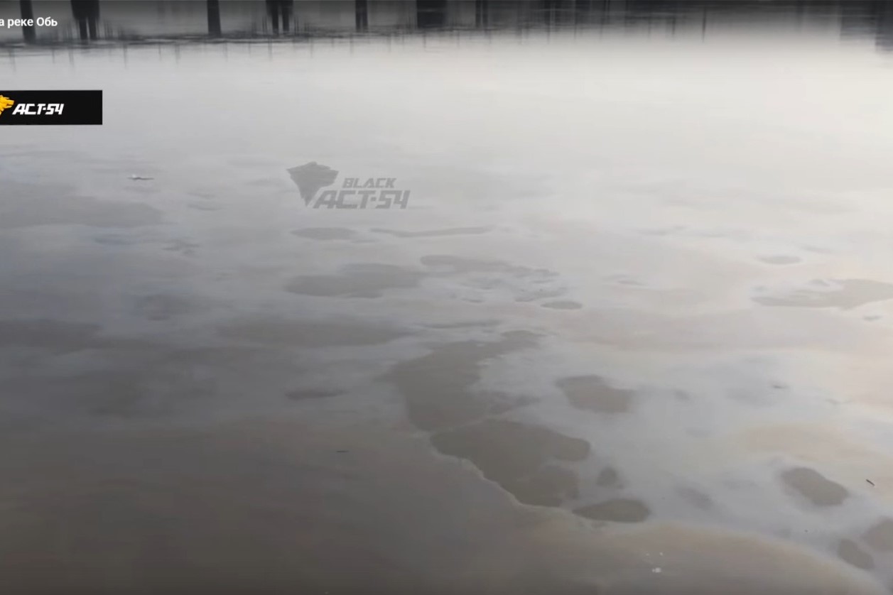 Масляные пятна на реке Обь заметили новосибирцы