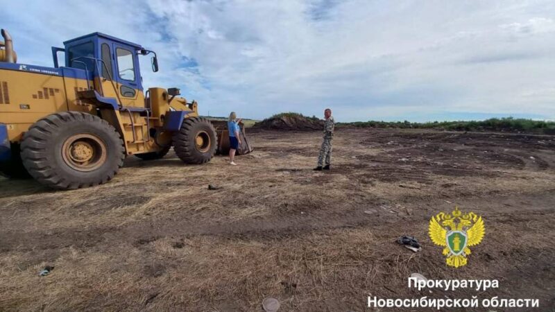 На территории района в НСО обнаружили 10 стихийных свалок