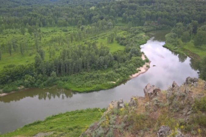 Экологическую тропу «Зверобой» обновят под Новосибирском