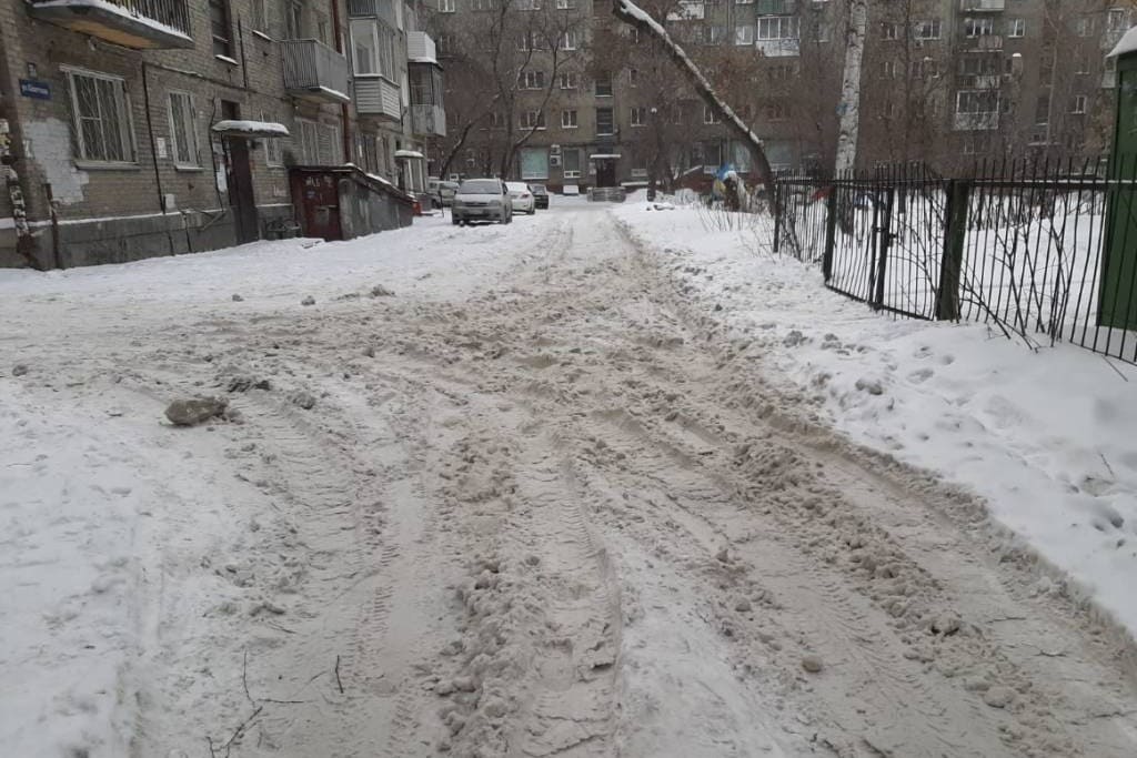Жители Новосибирской области