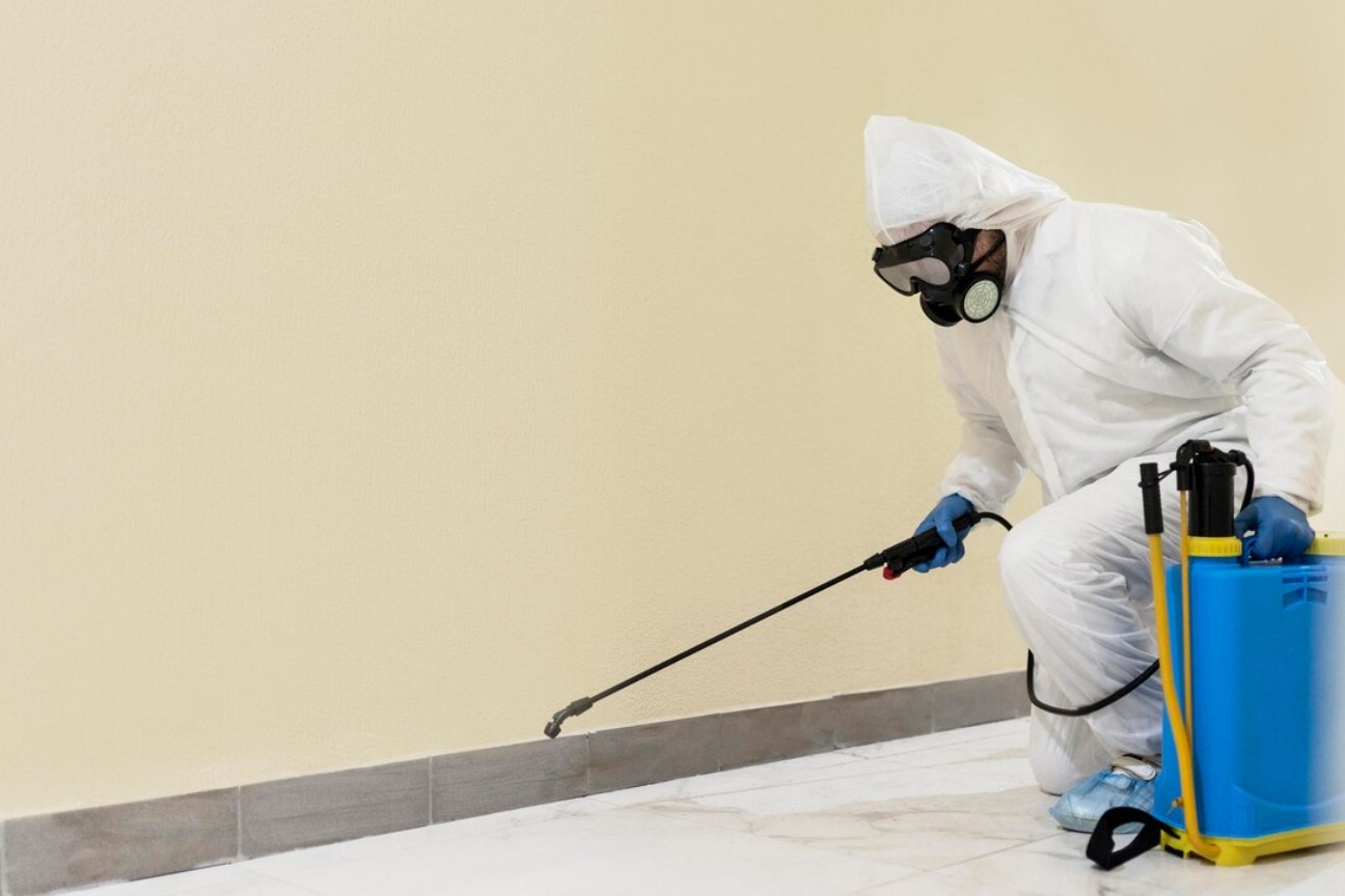 Новосибирцев вновь пугают нашествием тараканов и клопов