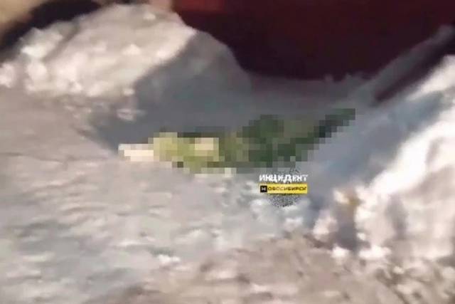 В Новосибирске под окнами многоэтажки обнаружили тело пожилой женщины