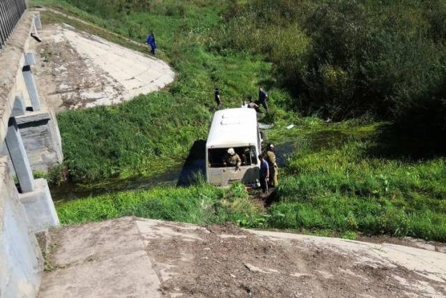 Шестеро детей пострадали в ДТП под Новосибирском