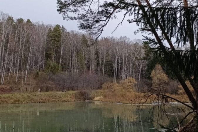 Прогноз погоды в Новосибирске на завтра – 24 октября