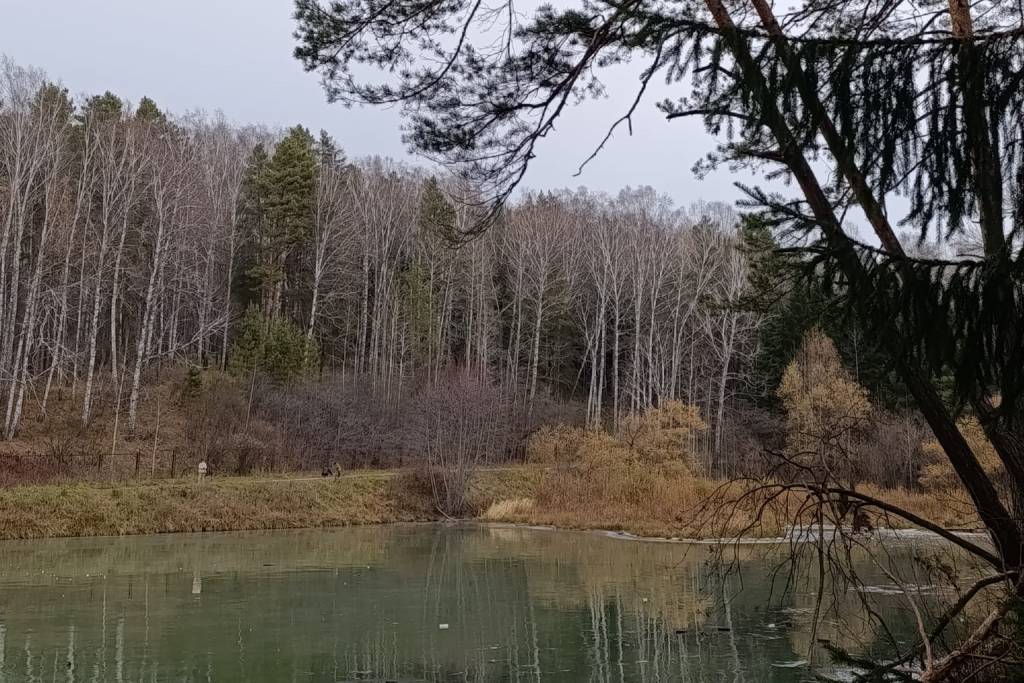 Прогноз погоды в Новосибирске на завтра – 24 октября