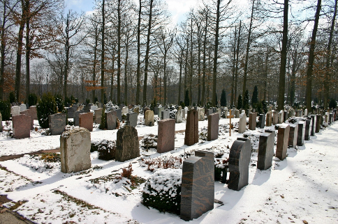Умершего в больнице младенца похоронили под Новосибирске