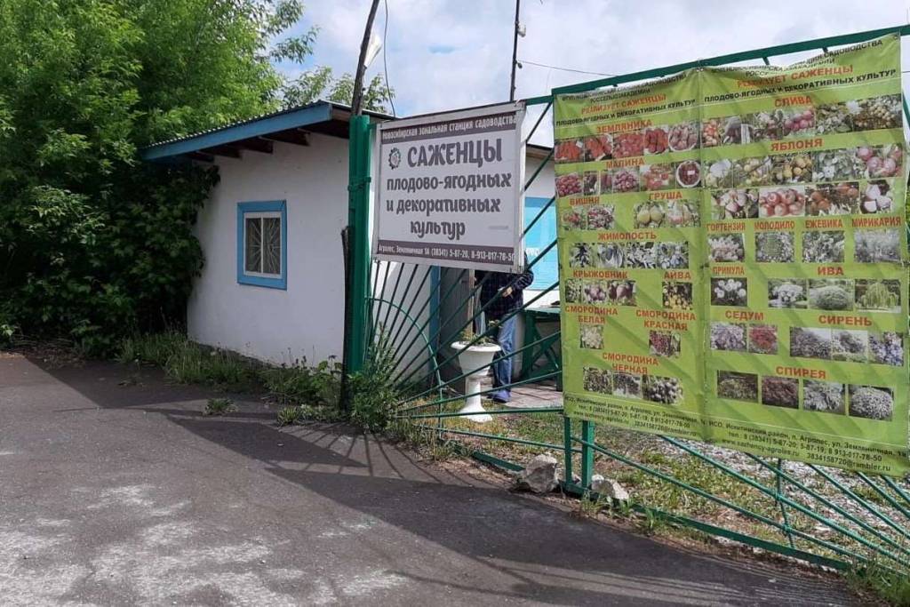 Акции Новосибирской зональной станции садоводства продали с торгов за 135 миллионов