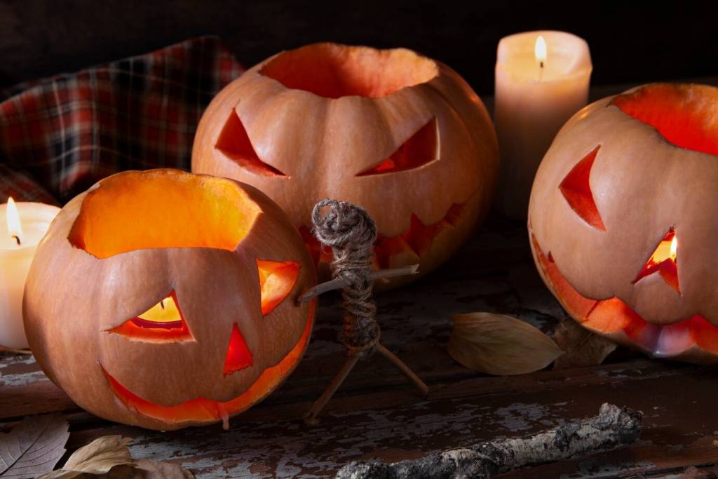 Новосибирцам рассказали о необычных свойствах тыквы