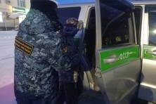 В Новосибирской области мужчина спрятался от пристава в сарае со скотом