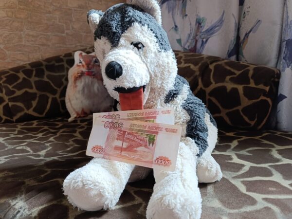 Как изменится схема расчета единого пособия на детей с 1 июня – рассказали в Соцфонде