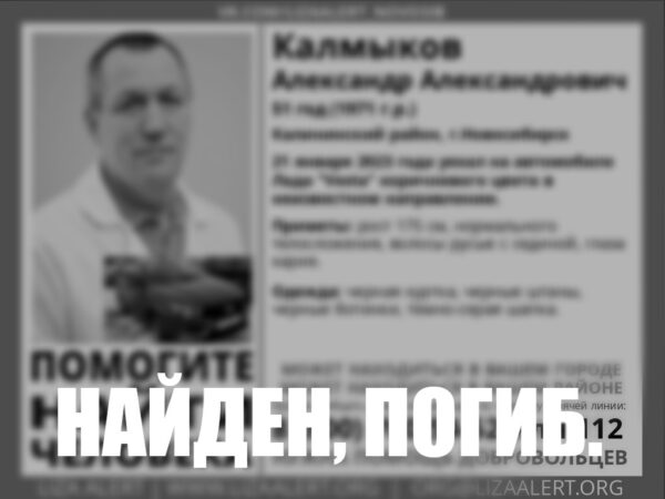 Попутчик погибшего новосибирского таксиста попал на видео