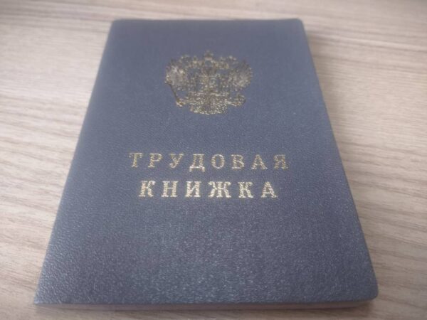 В Новосибирской области после вмешательства прокуратуры вернули на работу троих работников авиатранспорта