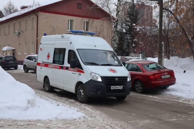 В Новосибирском цирке гимнаст сорвался с турника на глазах у зрителей