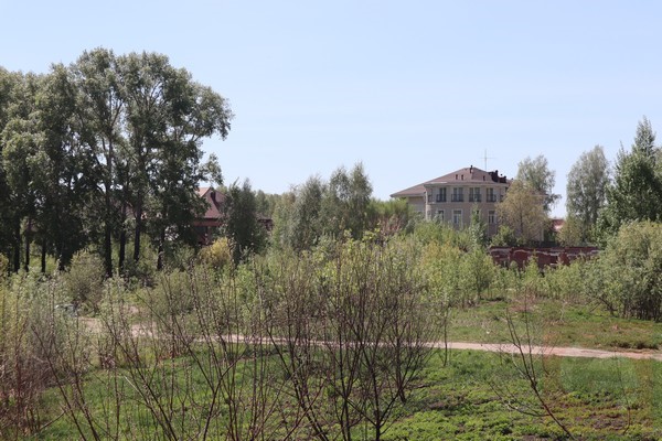 В Новосибирске отменили аукционы по КРТ в Академгородке