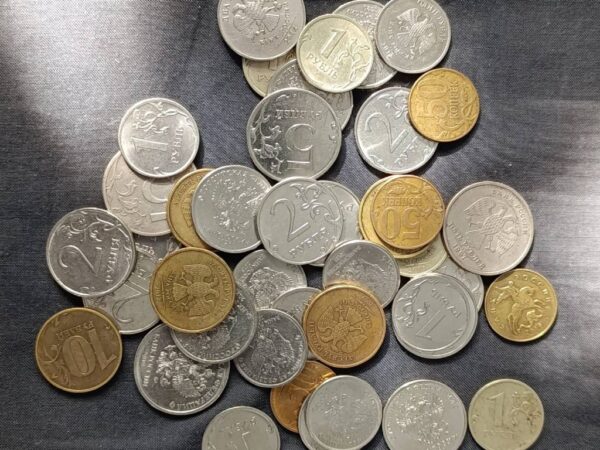 В Новосибирской области предложили увеличить прожиточный минимум на 13