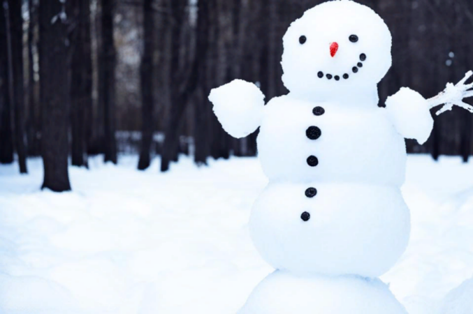 В Новосибирске историки объяснили