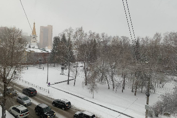 Заморозки и метель ожидаются в Новосибирске