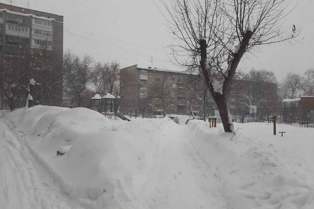 В Новосибирске 28 января выпало максимальное количество снега за всю историю города