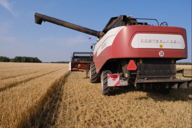 В Новосибирской области начали пересев погибших в аномальную жару культур