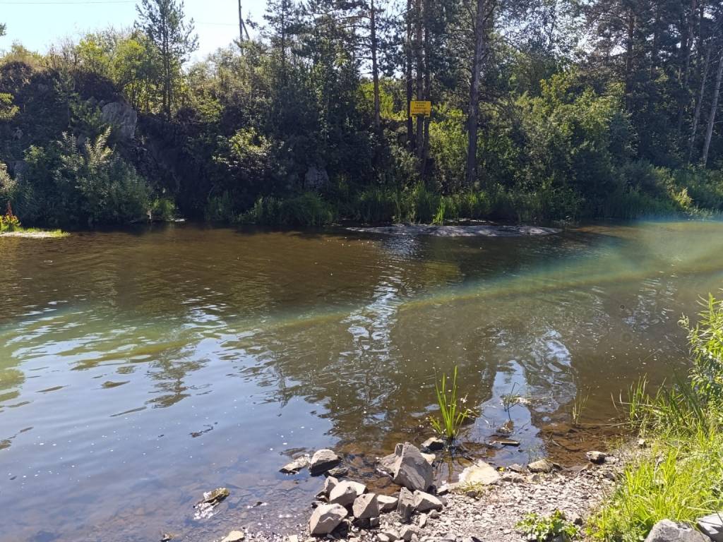 Прогноз погоды на завтра – 7 августа –  в Новосибирске