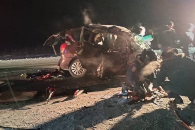 В Новосибирской области умер 5-летний ребёнок