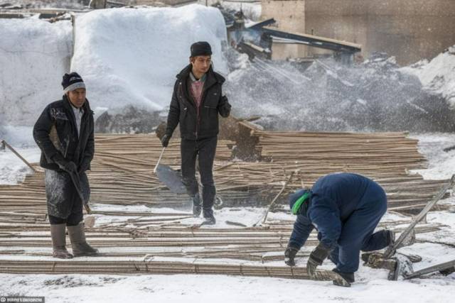 Из Новосибирской области за неделю выдворили и депортировали 27 мигрантов