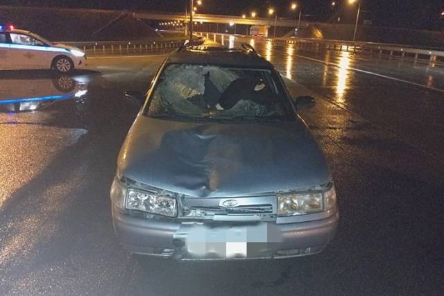 Новосибирец погиб под колесами «Жигулей»