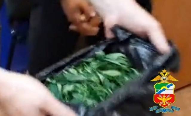 В Новосибирской области полицейские задержали сборщика конопли