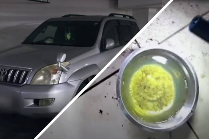 Мордобой и песок в бензобаке: суровые соседские войны в Новосибирске