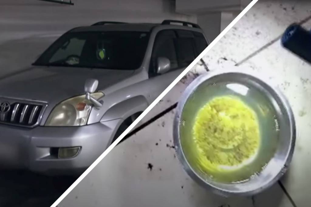 Мордобой и песок в бензобаке: суровые соседские войны в Новосибирске